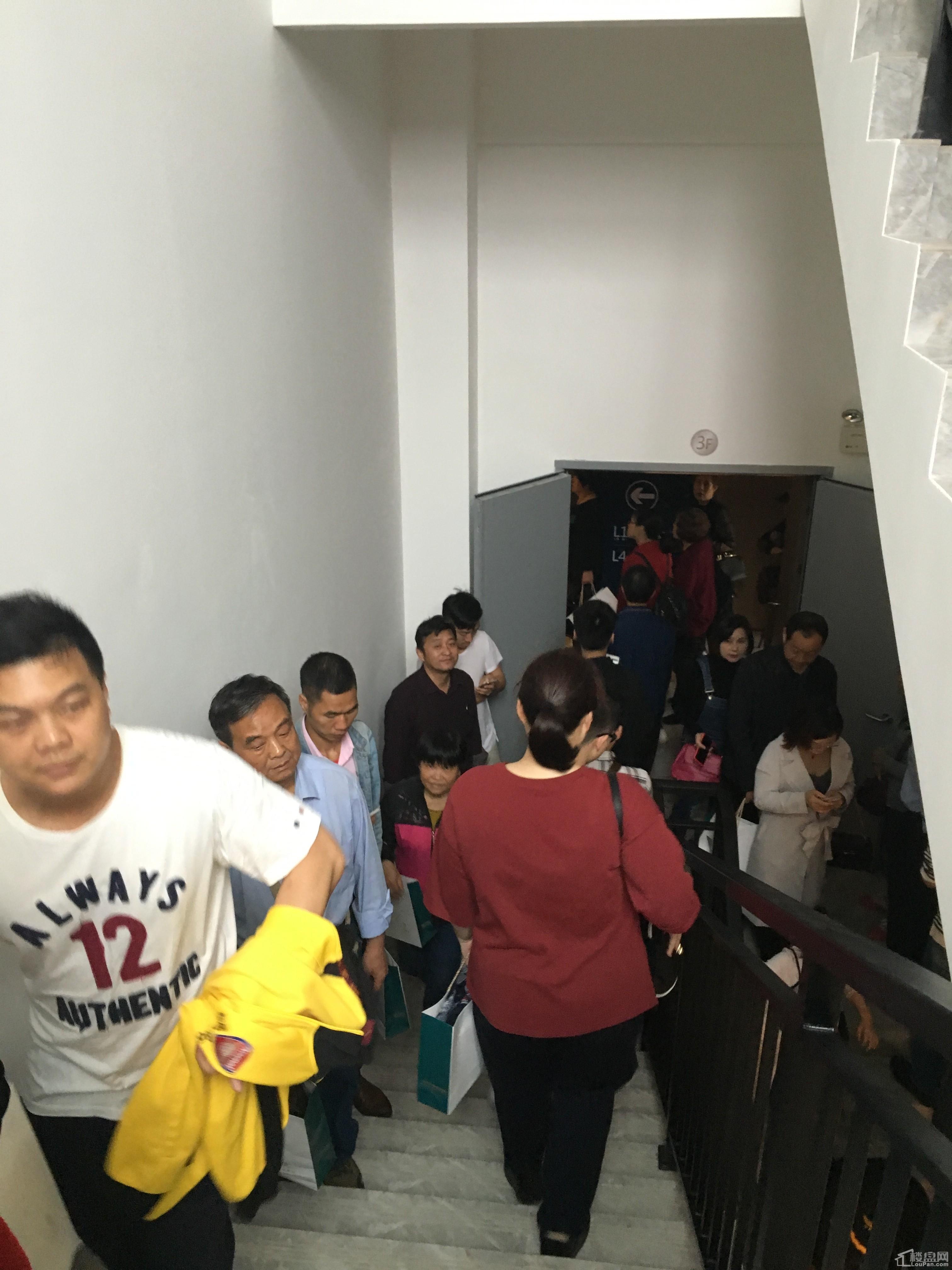 告别繁琐排队，享受完美国际小强挤号器的轻松服务！