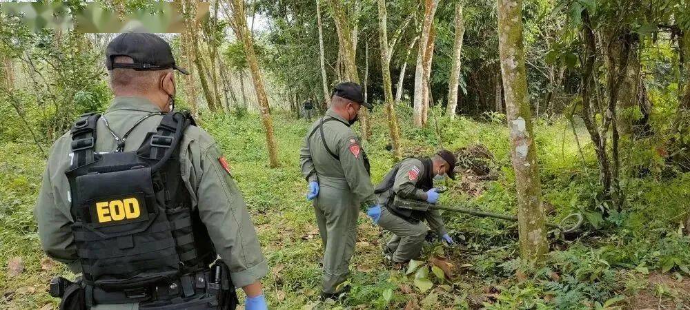 警匪丛林枪战_丛林枪战大片_丛林枪战老电影大全