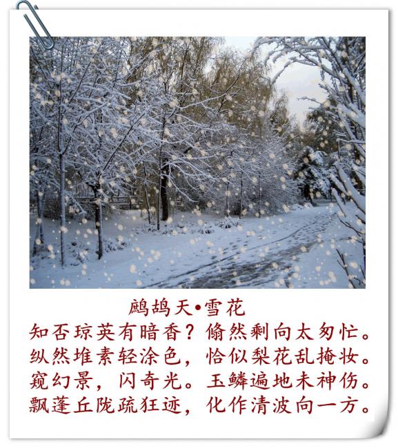 雨雪曲诗歌鉴赏_雨雪曲描写了什么样的环境_江总 雨雪曲 赏析 描写怎么样的环境