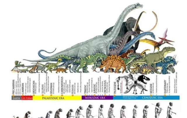 吞食孔明传2nd修改器_吞食天地2nd进化_傲视天地无双头盔进化