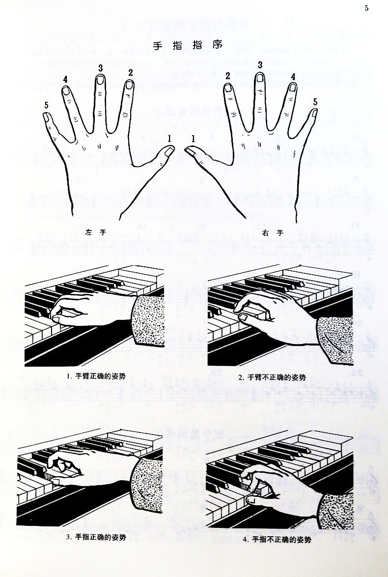车尔尼初级钢琴谱_钢琴初学者车尔尼_车尔尼钢琴初步教程下载