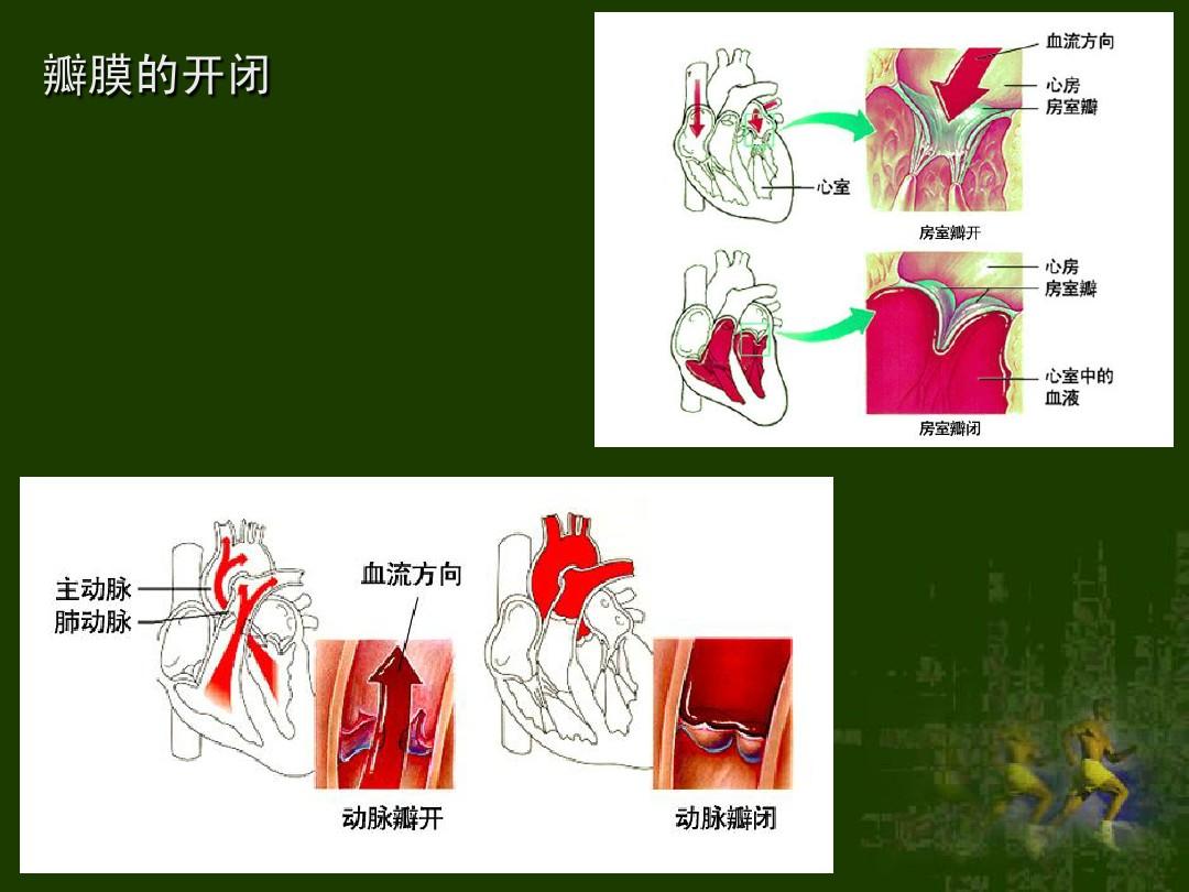 尸毒过木阵_2016上砂新闻上砂过老_阵发性室上性心动过速的治疗