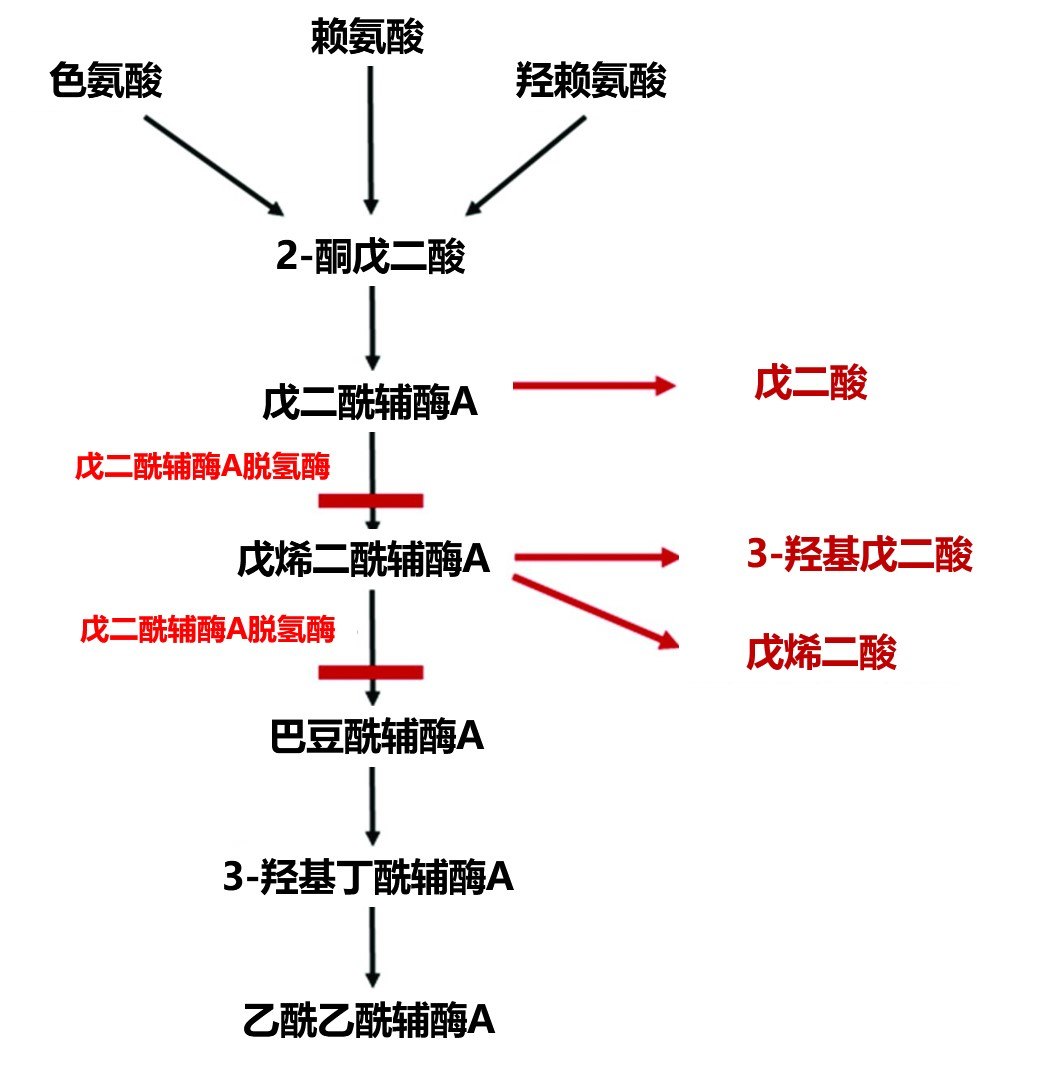 尿异常_尿异常红细胞形态检查标准值_尿异常红细胞