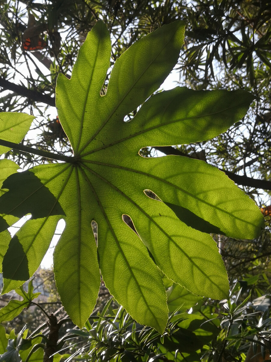 神艺缘馨缘木墙_缘木风尚家具有限公司_缘木全屋定制怎么样