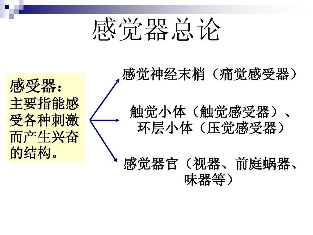 感受压觉和震动觉的感受器是_压觉属于浅感觉还是深感觉_压觉感受器是什么