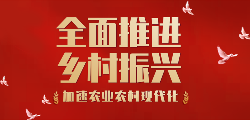 乡村英雄联盟_乡村联盟系列_乡村联盟系列有哪些
