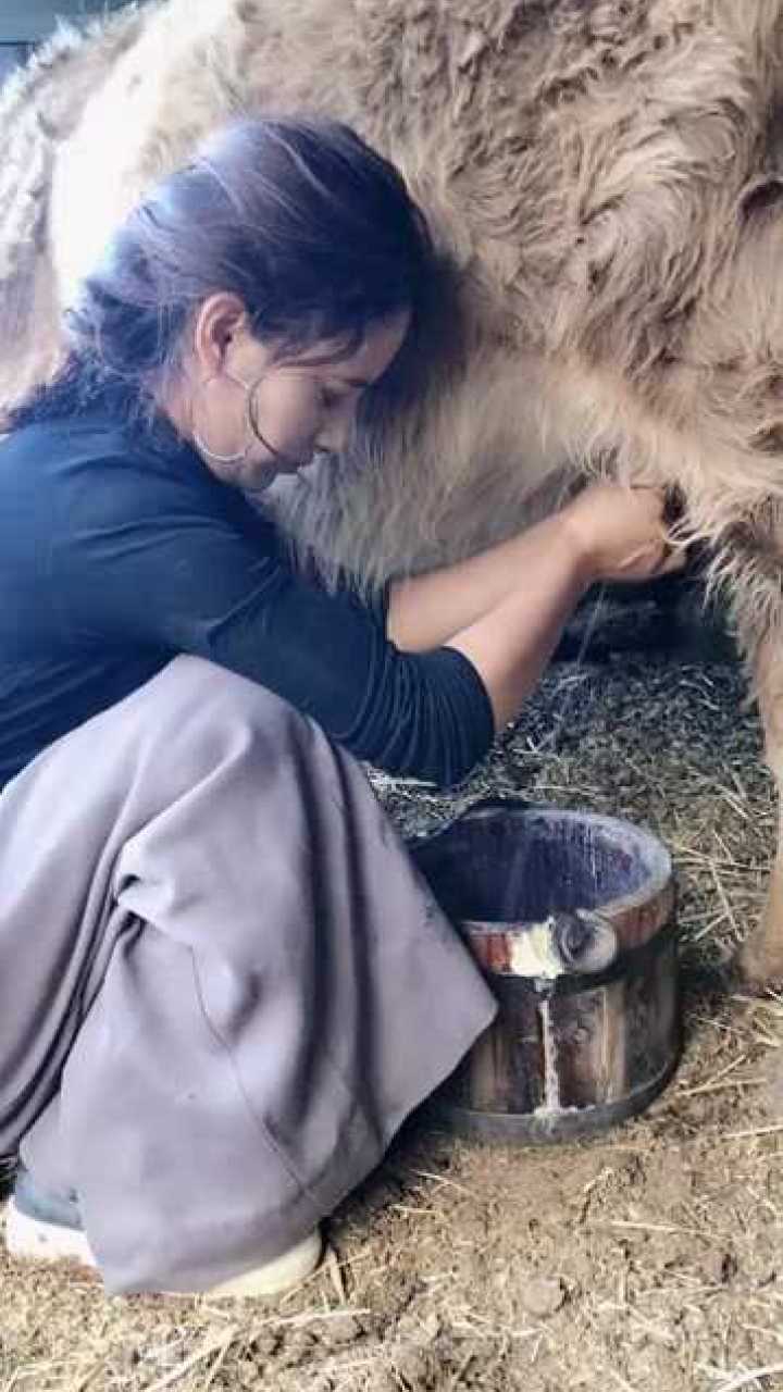 挤奶油游戏_美女帮挤奶游戏视频_帮美女挤奶游戏