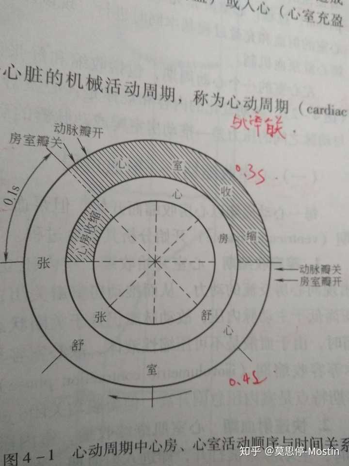 阵发心房扑动_阵发性室上性心动过扑_阵发性心房扑动吃什么药