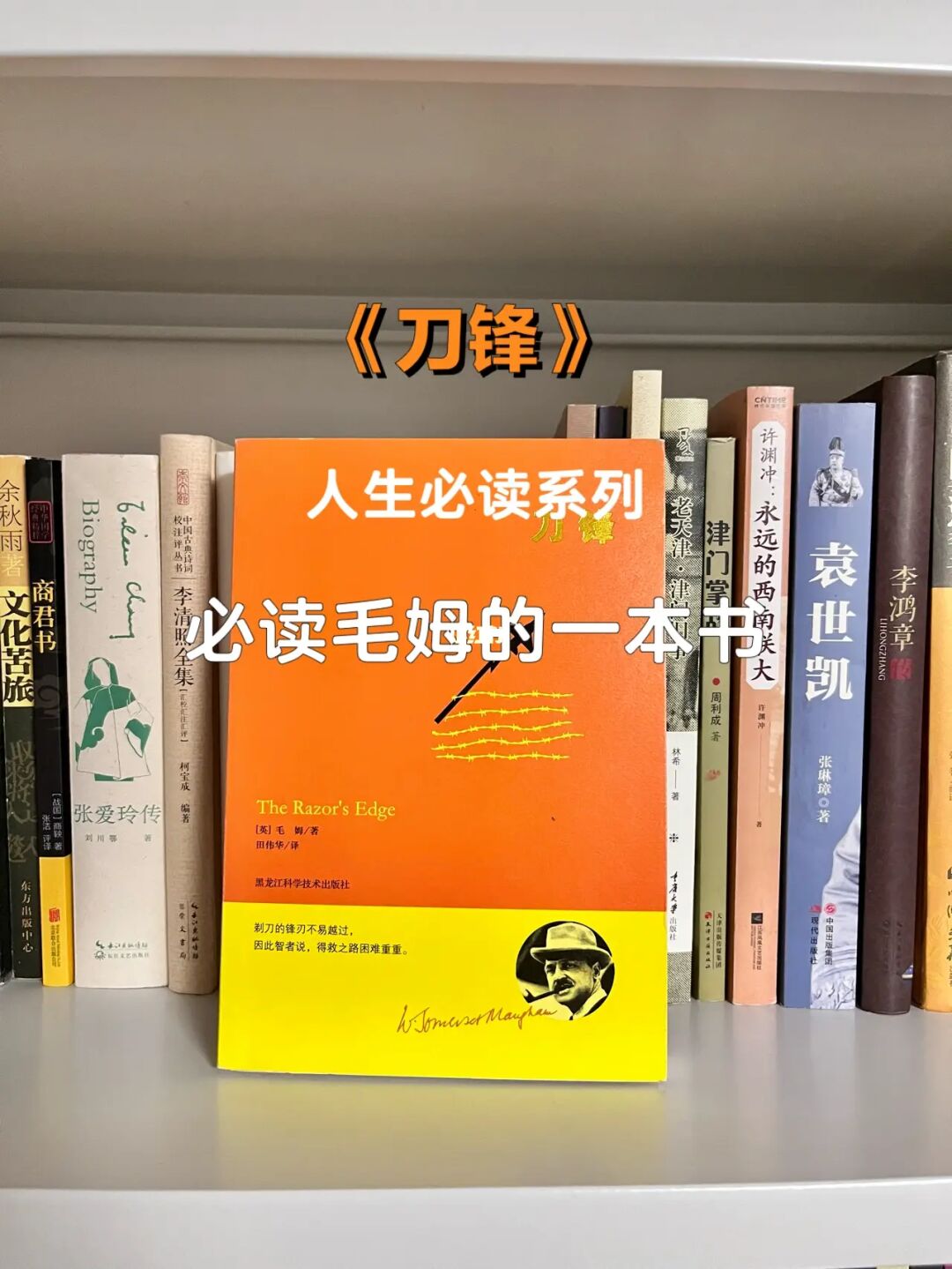 国产抗日连续剧刀锋战士_抗战刀锋寒_抗日剧刀锋战士