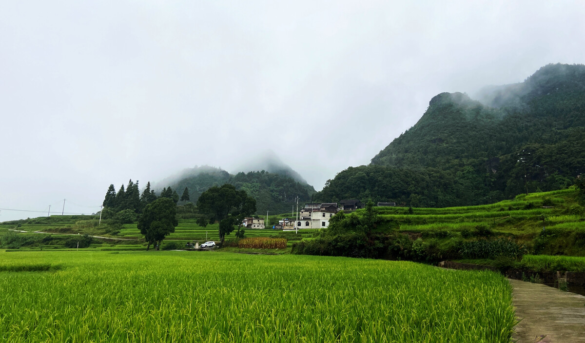 扑家花开，春风中