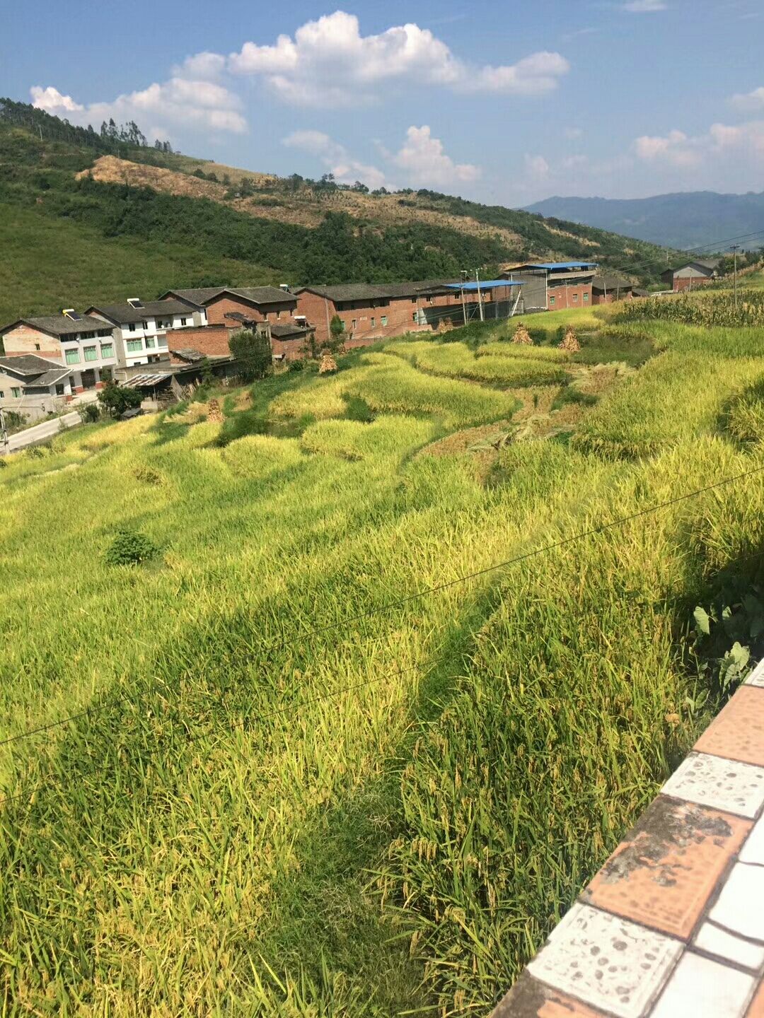 风雪稻香村无名怎么打_风雪稻香村老三怎么开剧情_风雪稻香村