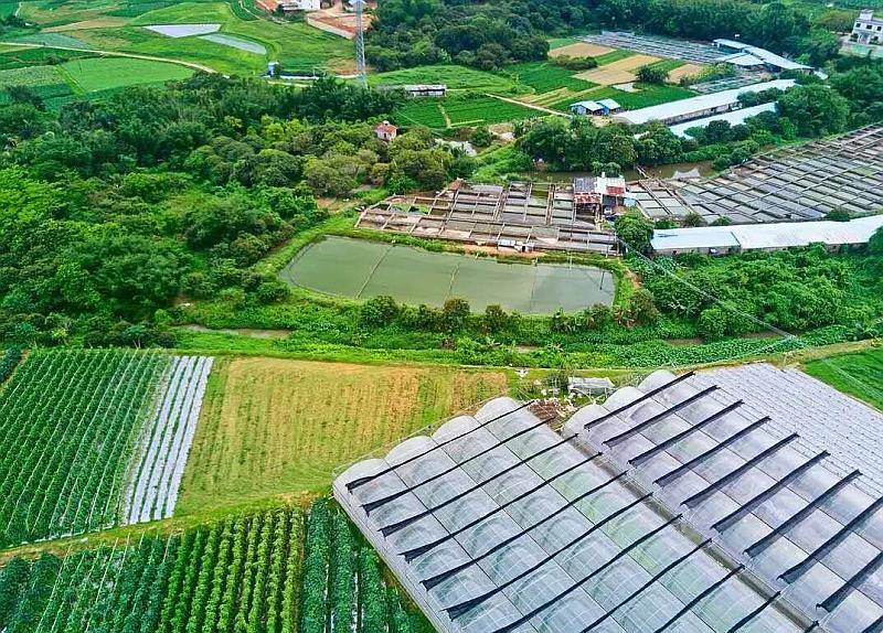 农场建大门需要审批嘛_建个大农场_农场一般建在哪里