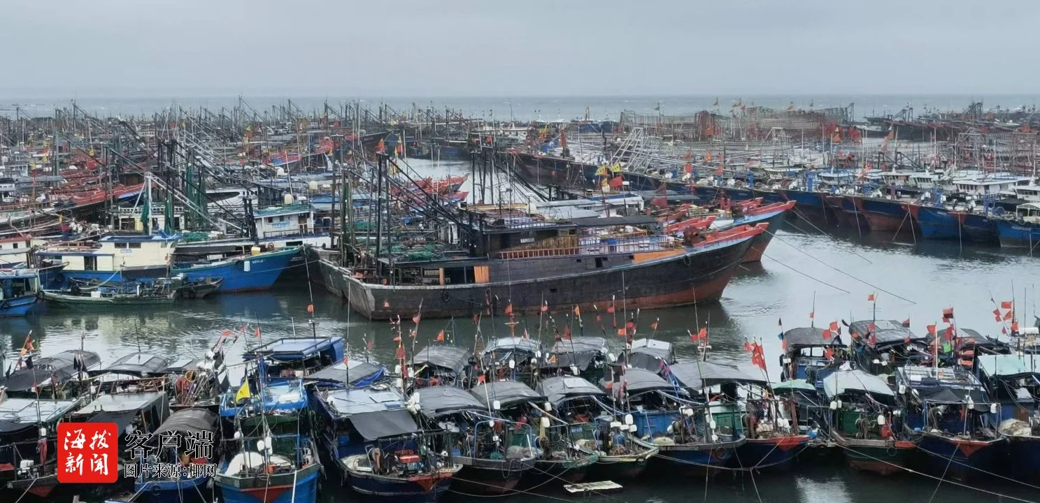 南海镇_南海镇在哪里_南海镇怎么去