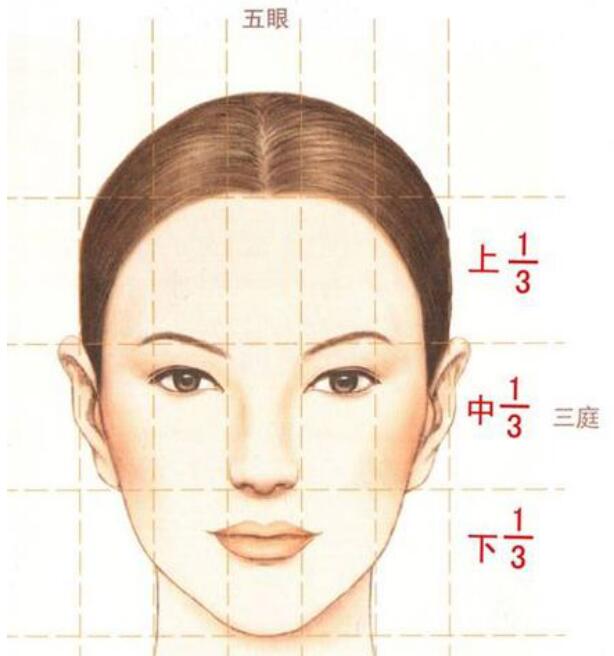 黄金比例脸型模板软件_黄金脸型比例模板图_黄金比例脸型模板