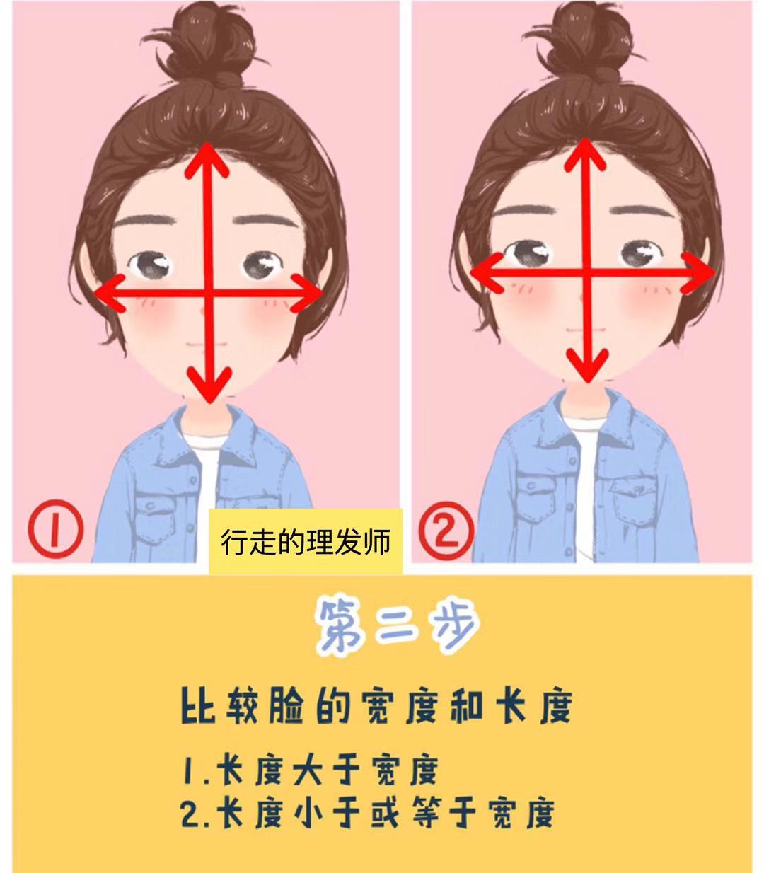 黄金脸型比例模板图_黄金比例脸型模板_黄金比例脸型模板软件
