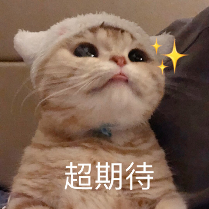 猫开心会摇尾巴吗_开心猫_猫开心的时候尾巴是什么样子的