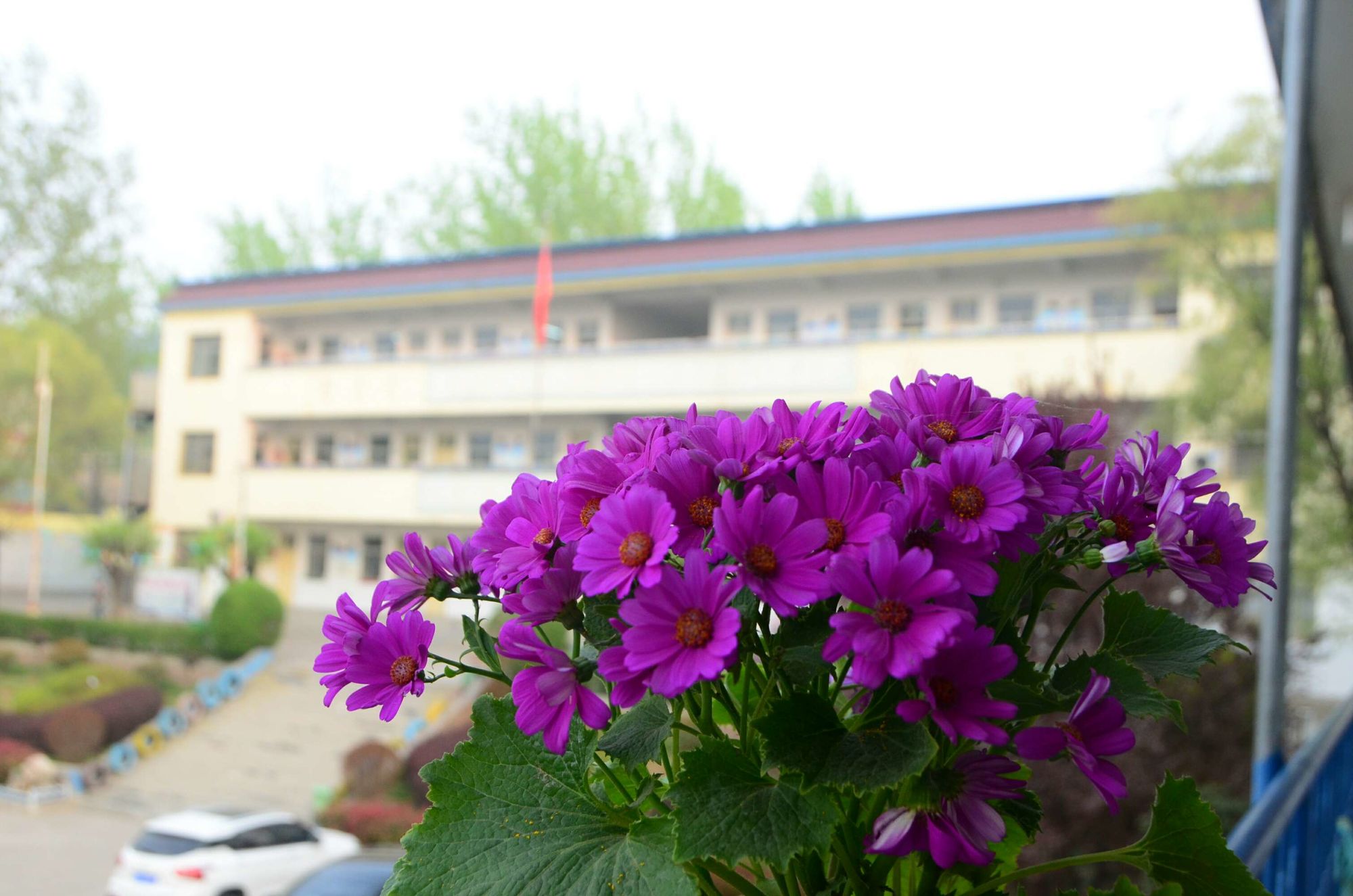 美女穿内衣上节目_美女直播不穿内衣app_美女忘记穿内衣出门