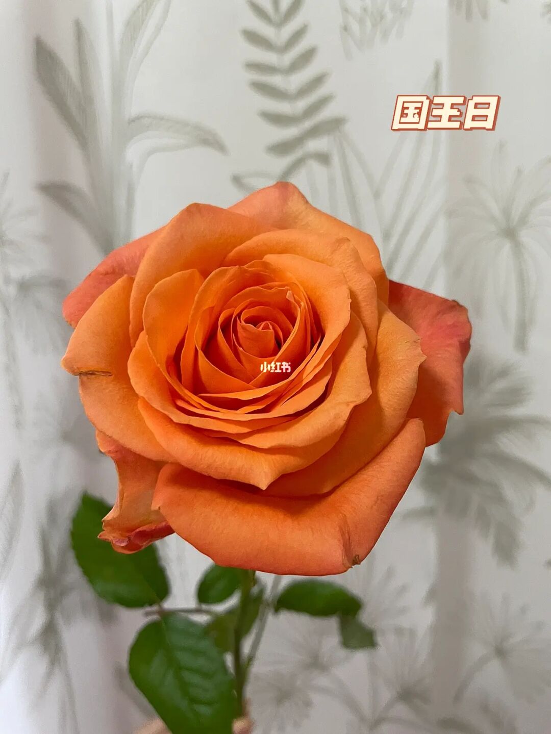 花甜_甜花红素_甜花生米怎么做
