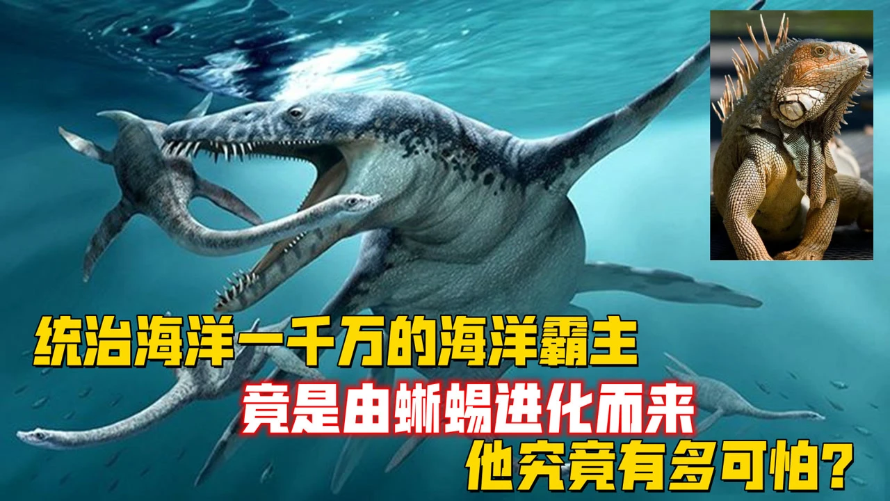 史前鲨鱼游戏_史前鲨鱼游戏视频_史前鲨鱼游戏4399