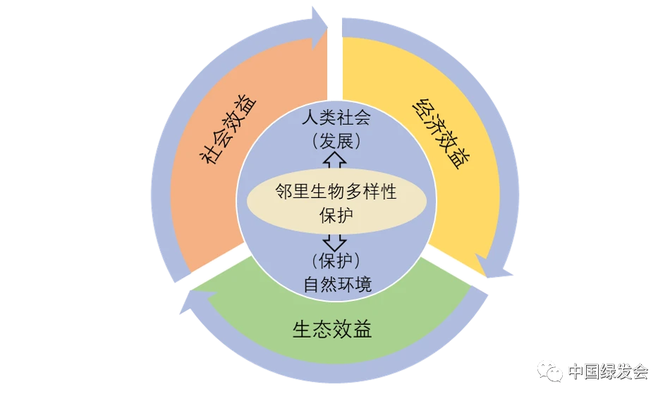 全球治理困境的含义_全球环境治理的困境包括_困境治理全球环境包括哪些