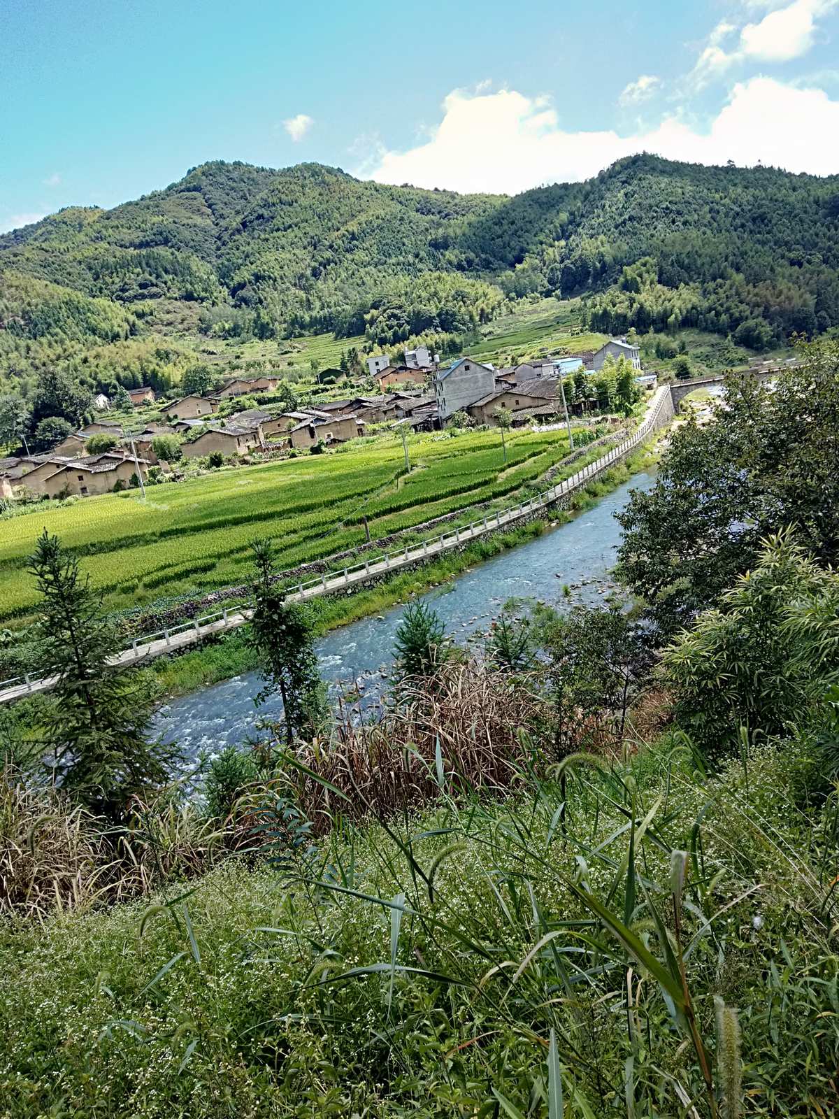 温思慕贺宴辞小说_温思儿_温思