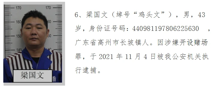 最新地址的图片_高州杰辉网络最新地址_广东高州中学地址