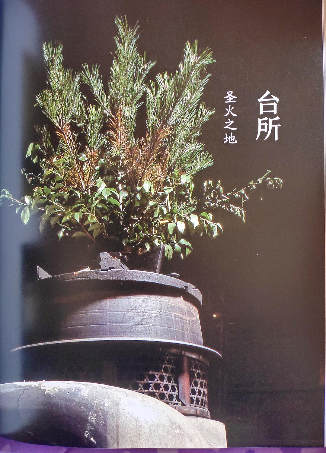 永恒之地_永恒地英文_永恒地平线棺材
