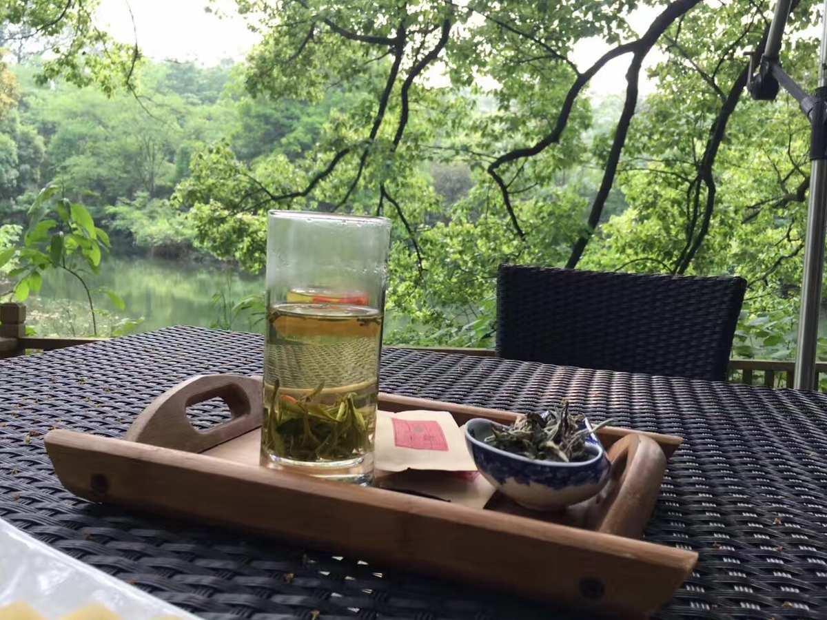 茶言茶语是贬义词吗_茶语是啥_茶言茶语是什么意思
