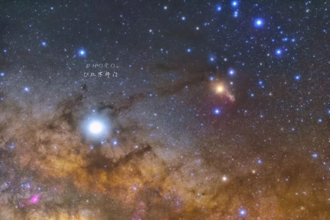 将夜王朝游戏_将夜1王后_将夜王朝