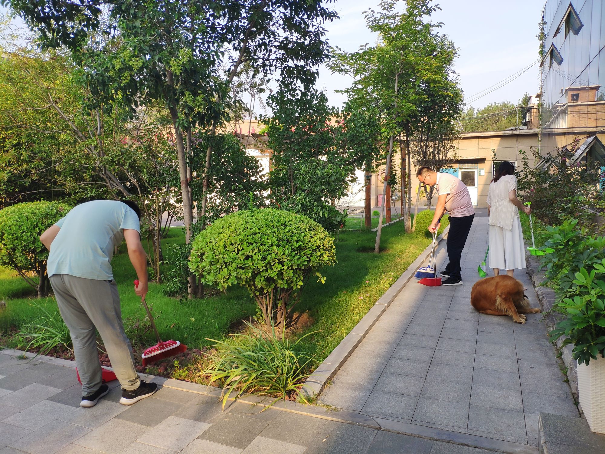 阳光明媚，环卫工人强力清扫街道