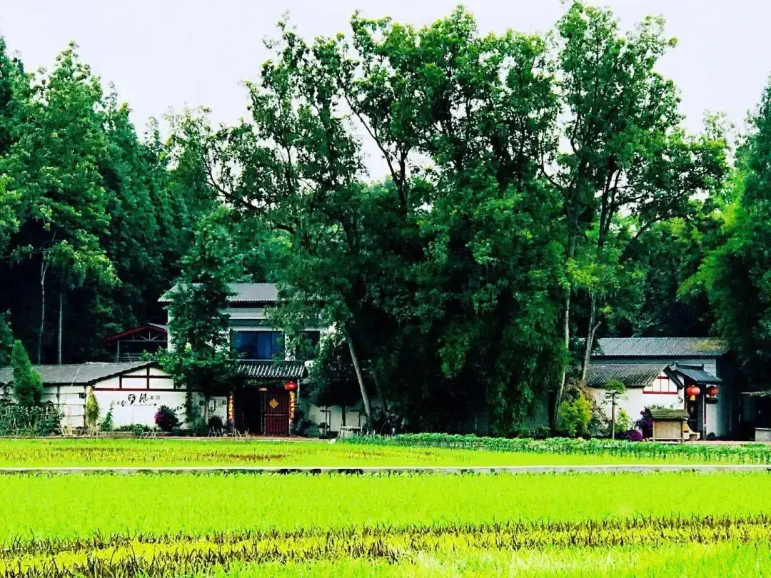 渡假村大亨_渡假村大亨_渡假村大亨