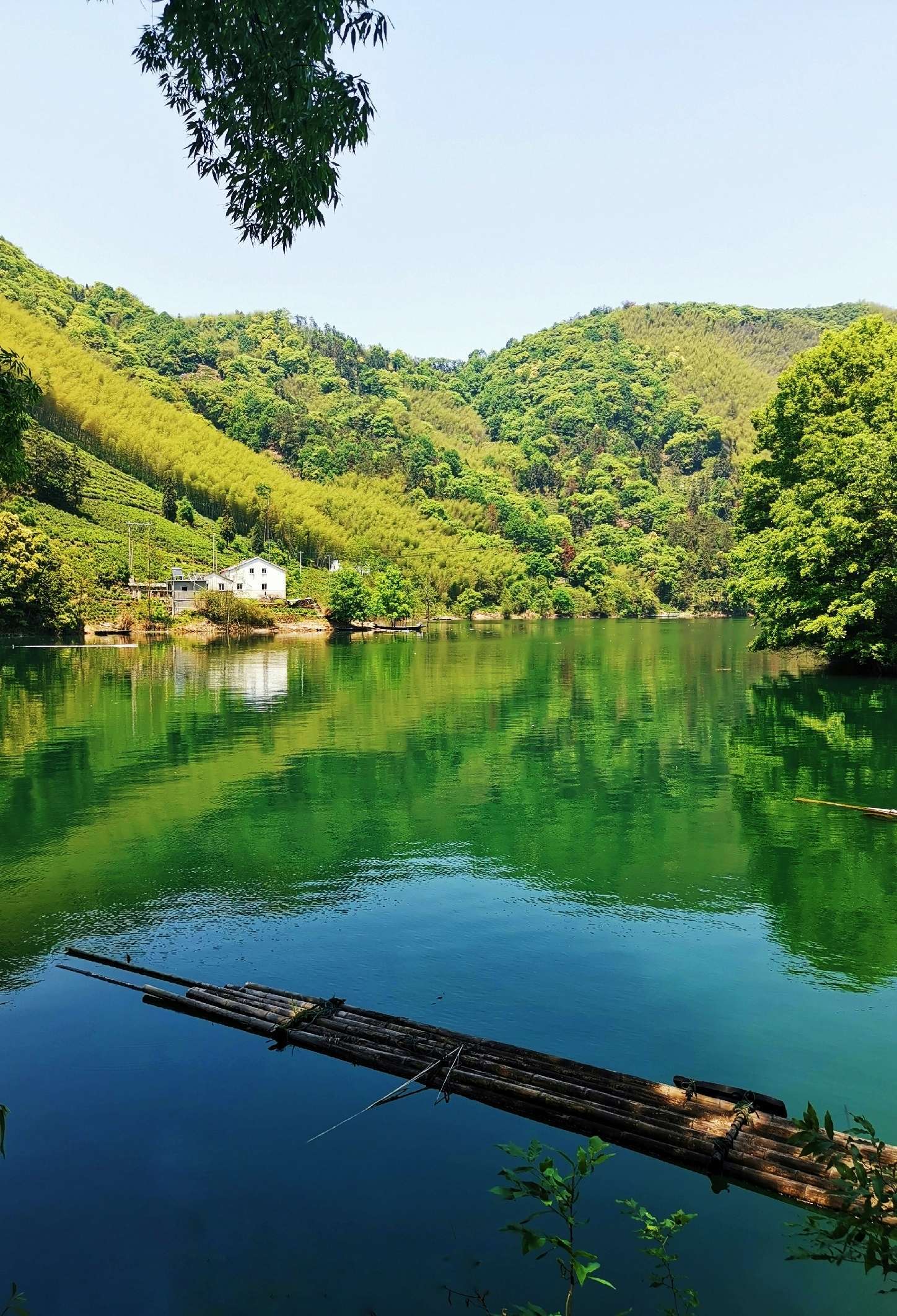 渡假村大亨_渡假村大亨_渡假村大亨