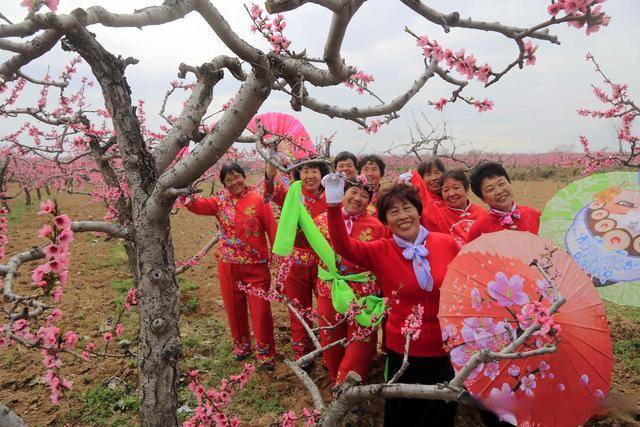 桃夭夭什么意思_桃夭夭_桃夭夭可以加入什么门派