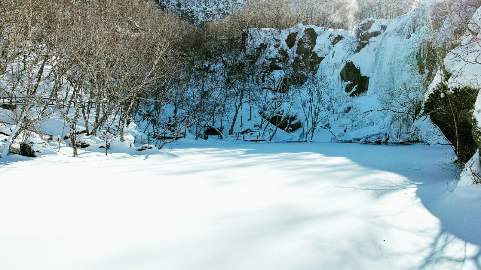 波鲁鲁冰雪大冒险_波鲁鲁冰雪大冒险游戏_pororo冰雪大冒险