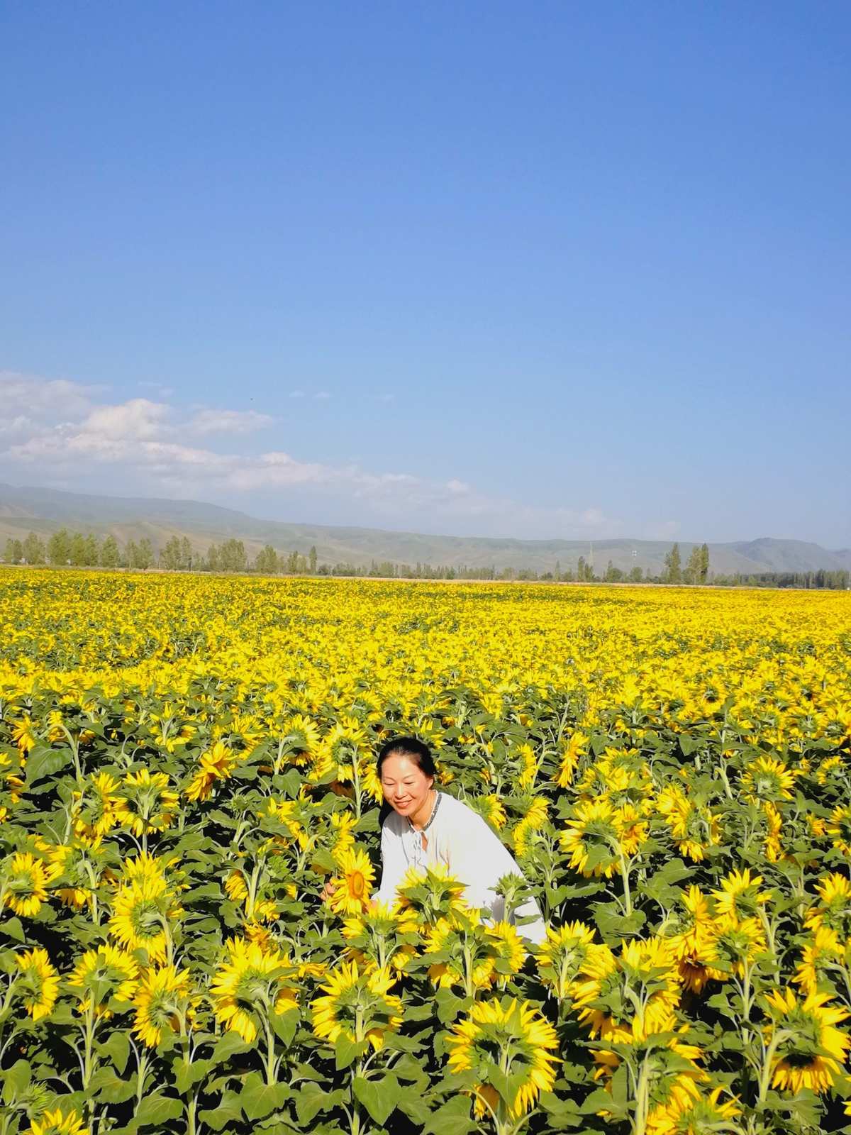 向日葵app在线观看下载大全视频_向日葵app在线观看下载大全视频_向日葵app在线观看下载大全视频