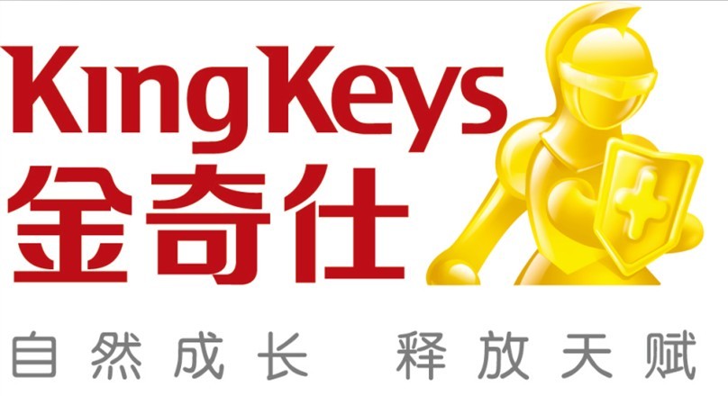 斯捷奇金专属_aps斯捷奇金_斯捷奇金