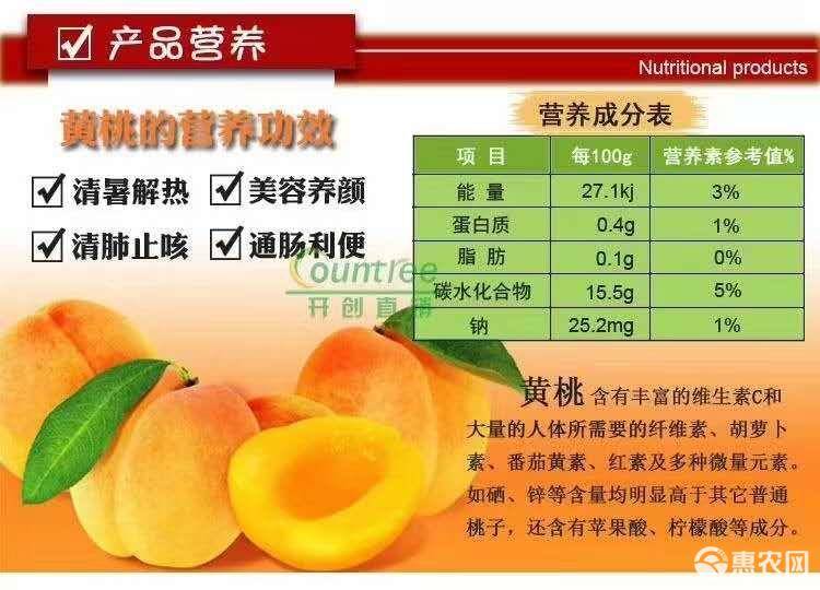 脉冲黄桃_脉冲黄桃对什么僵尸有用_脉冲黄桃的图片