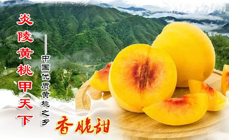 脉冲黄桃_脉冲黄桃对什么僵尸有用_脉冲黄桃的图片