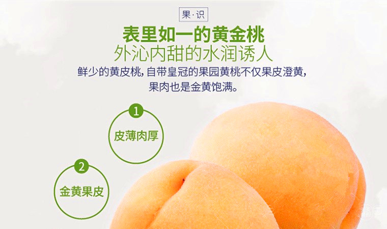 脉冲黄桃的图片_脉冲黄桃对什么僵尸有用_脉冲黄桃