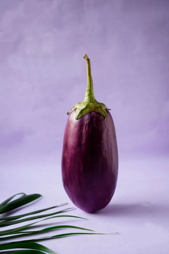 茄子快传_茄子互传_红烧茄子汁茄子怎样做