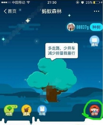 tree下载_第一棵树游戏手机版下载_tree游戏