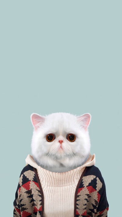 国王宠物2016单机版破解版_大屏手机玩宠物王国游戏_王国宠物下载