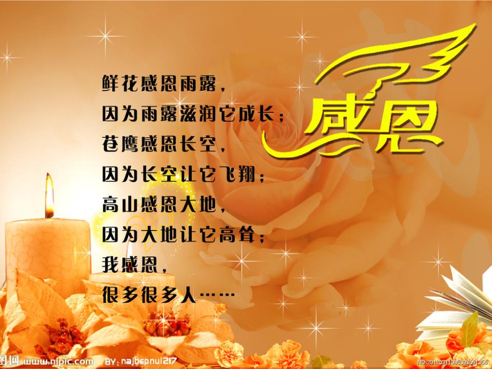 节日的月日_节日是指_11月22日是什么节日