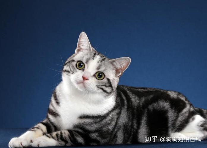 月年2023年_2011年5月3日_2024年是不是闰月年