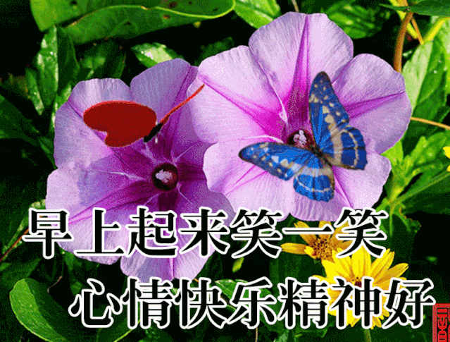 林莉老公是谁_林莉海南_林莉