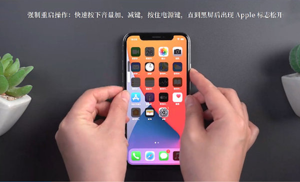 iphonexr死机重启_xr重启_苹果xr死机重启方法