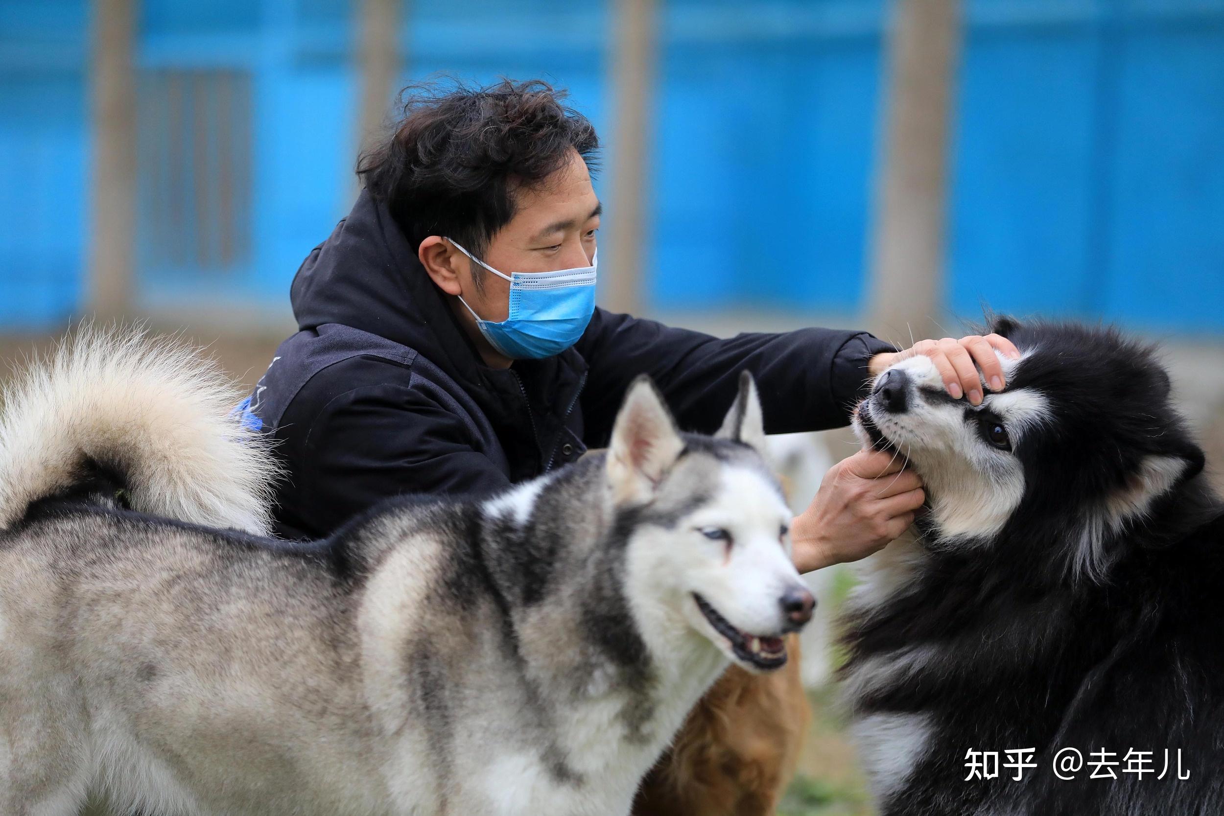 可爱的英文_总之非常可爱_可爱呆萌头像