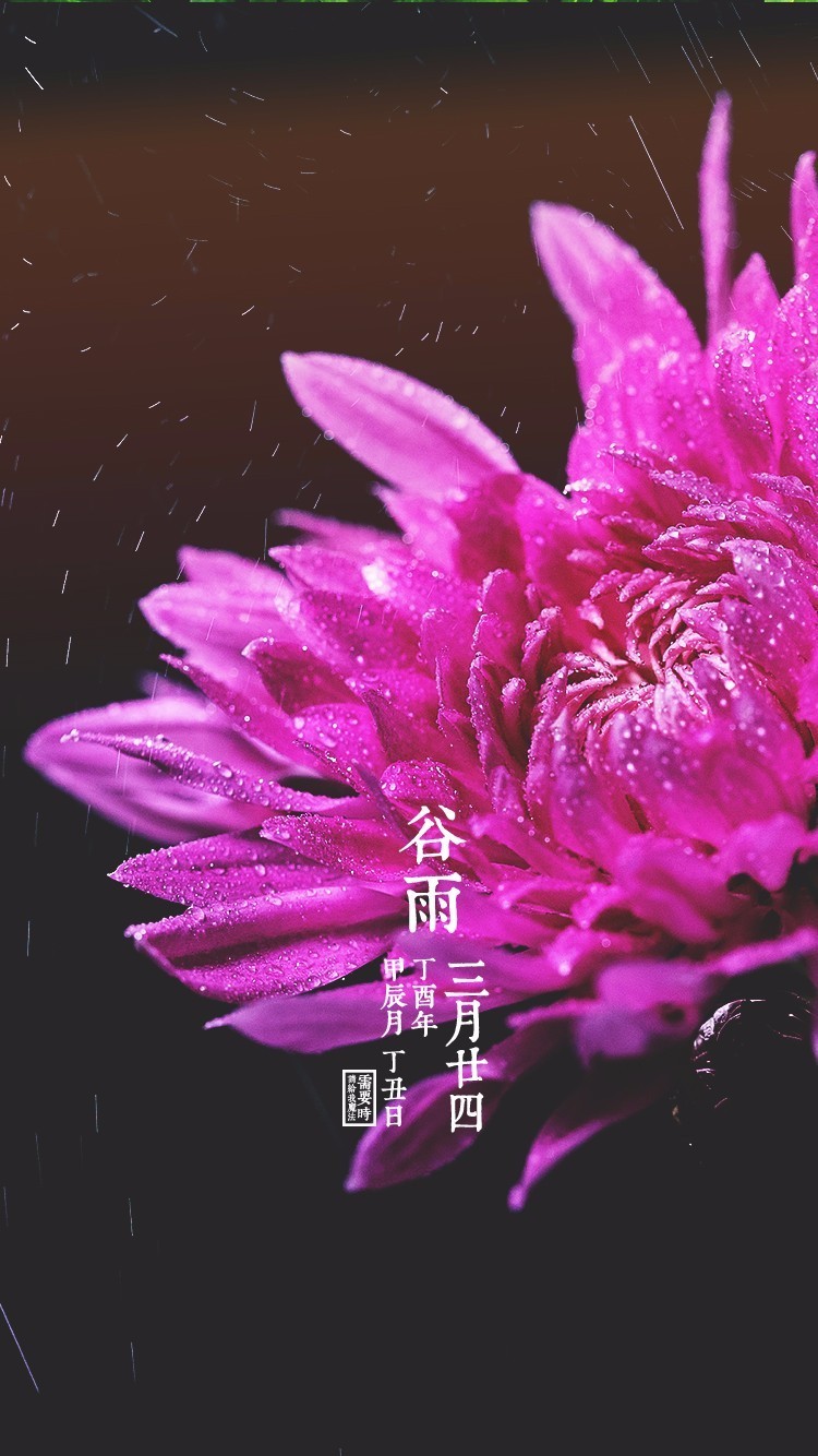 谷雨来自什么的说法_谷雨的来厉_谷雨由来