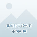 有个剑灵的rpg单机游戏_带有剑灵的手机游戏_有剑灵的游戏
