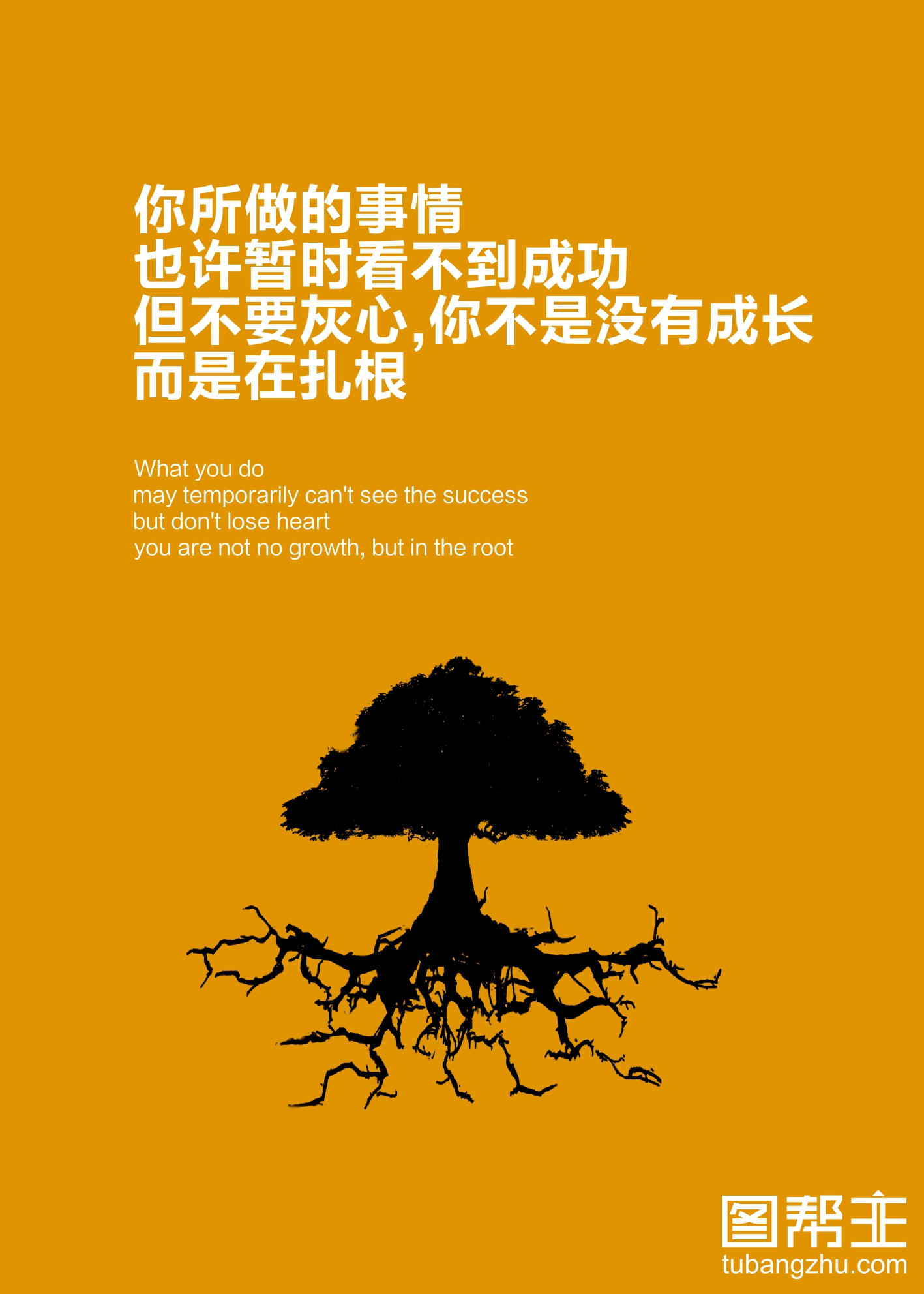 理视康_理想l9_不理不理